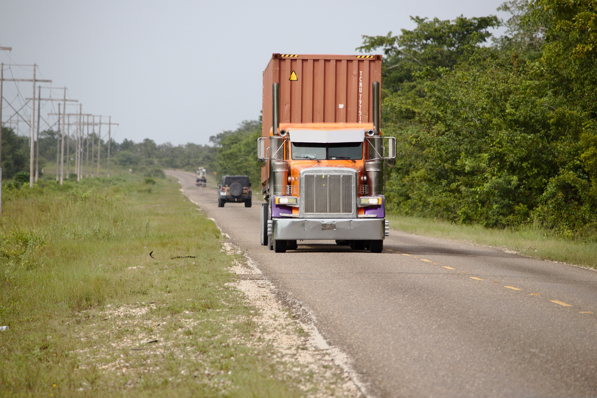 Cargo truck carrying a container